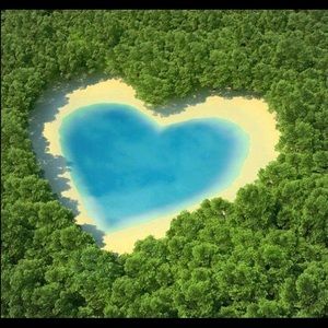 Meet your Posher, Eva